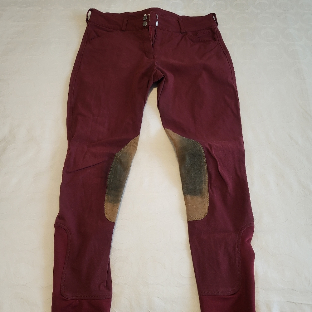 Elation Platinum Chelsea knee patch breech